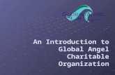 An Introduction to Global Angel Charitable Organization
