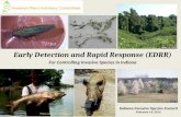 Early Detection and Rapid Response (EDRR) For Controlling Invasive Species in Indiana