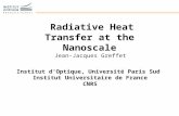 Radiative Heat Transfer at the Nanoscale