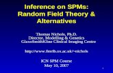 Inference on SPMs: Random Field Theory & Alternatives