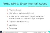 RHIC SPIN: Experimental Issues