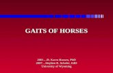 GAITS OF HORSES