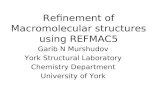 Refinement of Macromolecular structures using REFMAC5