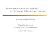The International Grid Testbed: a 10 Gigabit Ethernet success story