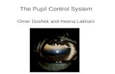 The Pupil Control System Omer Dushek and Heena Lakhani