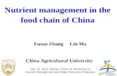 Nutrient management in the food chain of China