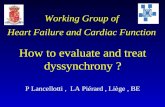 Working Group of Heart Failure and Cardiac Function