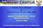 VOTE 17: LABOUR & STRATEGIC PLAN 2004-2009