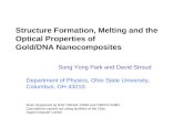 Structure Formation, Melting and the  Optical Properties of  Gold/DNA Nanocomposites