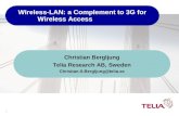 Wireless-LAN: a Complement to 3G for           Wireless Access