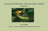 Young Stand Thinning & Diversity Study: Songbird Response