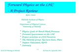 Forward Physics at the LHC    - A Project Review