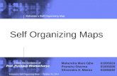 Self Organizing Maps