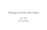 Strings & Text File Input