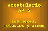 Vocabulario AP 5 Los peces, moluscos y armas