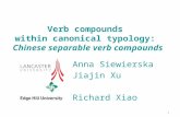 Verb compounds  within canonical typology:  Chinese separable verb compounds