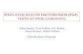 PIXELATED SILICON PHOTOSENSOR (PSiP)  TESTS AT FNAL (3/28-4/2/07)