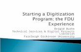 Starting a Digitization Program: the FDU Experience