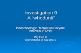 Investigation 9 A  “ whodunit ”