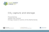 CO 2  capture and storage