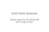 EXO-GAS Detector