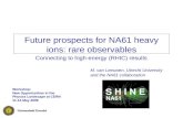 Future prospects for NA61 heavy ions: rare observables