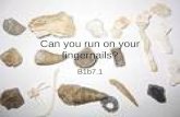 Can you run on your fingernails?