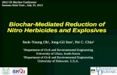 Biochar-Mediated Reduction of Nitro Herbicides and Explosives