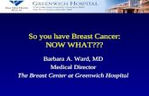 So you have Breast Cancer: NOW WHAT???