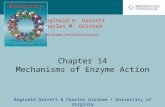 Chapter 14 Mechanisms of Enzyme Action