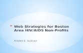 Web Strategies for Boston Area HIV/AIDS Non-Profits