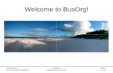 Welcome to BusOrg!