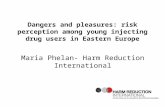 Dangers and pleasures: risk perception among young injecting drug users in Eastern Europe