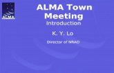 ALMA Town Meeting Introduction