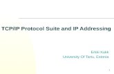 TCP/IP Protocol Suite and IP Addressing
