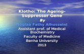 Klotho: The Ageing-Suppressor Gene
