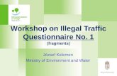 Workshop on Illegal Traffic Questionnaire No. 1 ( fragments)