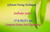 Software Testing  Techniques