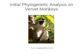 Initial Phylogenetic Analysis on Vervet Monkeys
