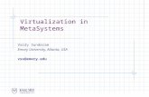 Virtualization in MetaSystems