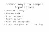 Common ways to sample Populations