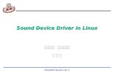 Sound Device Driver in Linux