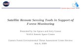 Satellite Remote Sensing Tools in Support of Forest Monitoring