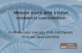 Mouse eyes and vision research consortium
