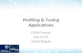 Profiling & Tuning Applications