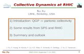 Collective Dynamics at RHIC