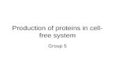 Production of proteins in cell-free system