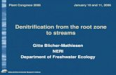 Denitrification from the root zone to streams