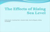The Effects of Rising Sea Level