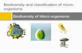 Biodiversity of Micro-organisms